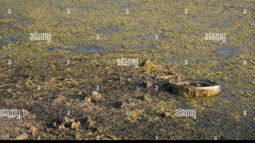 découvrez comment une escroquerie impliquant des garages a conduit à l'abandon de voitures et à une perte de 7 millions d'euros.