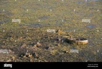 découvrez comment une escroquerie impliquant des garages a conduit à l'abandon de voitures et à une perte de 7 millions d'euros.